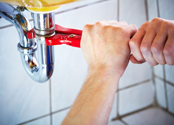 About Sadieville Plumbers